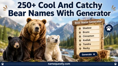Cool And Catchy Bear Names With Generator