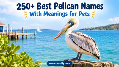 Best Pelican Names With Meanings for Pets